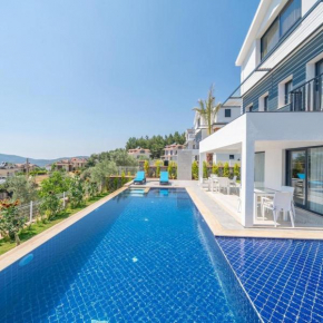 TOHARYA VILLA